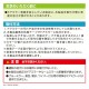 CZ-449 Carmate 180R廣角輔助扇形鏡